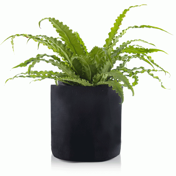 MACETA GEOTEXTIL 5L