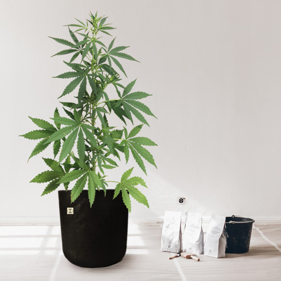 Maceta-geotextil-20L