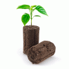 PLUGS CULTIVO
