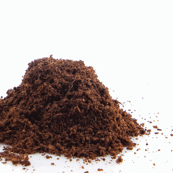 TURBA COCO