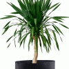 MACETA GEOTEXTIL 65L